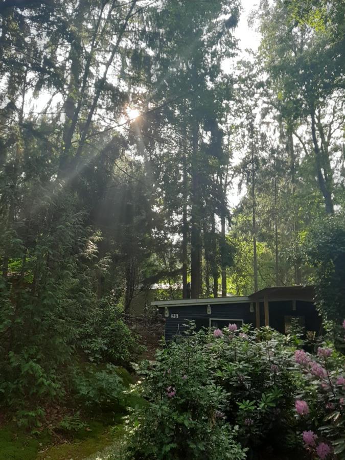 Hotel De Boshut Vledder Exteriér fotografie